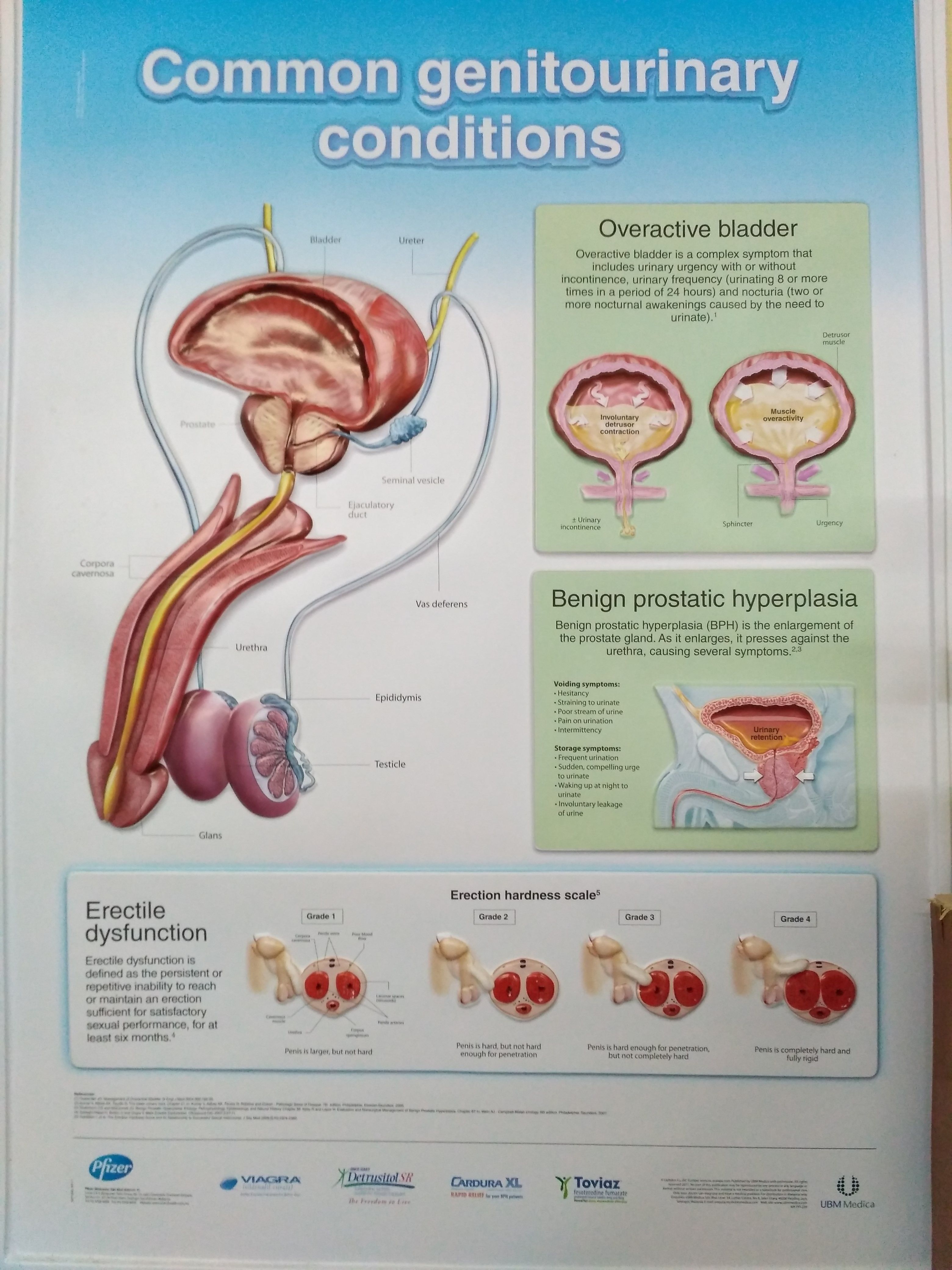 Imej Klinik Iddrus (Kerteh)