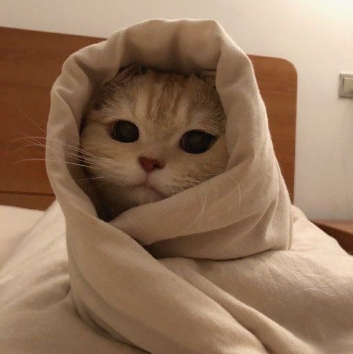 รูปภาพของ อพีช คลีนิค