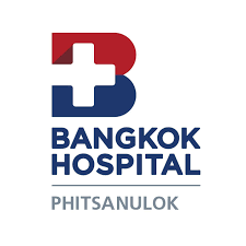 โรงพยาบาลกรุงเทพพิษณุโลก Logo
