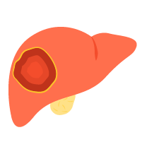 Hepatology