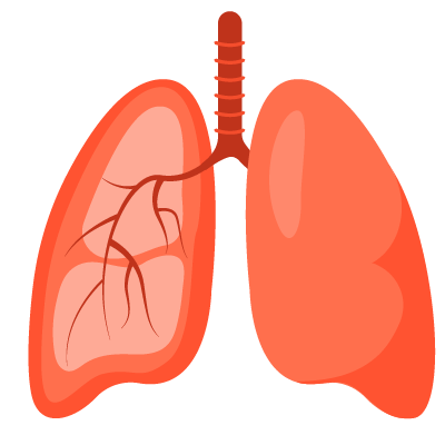 Pulmonology